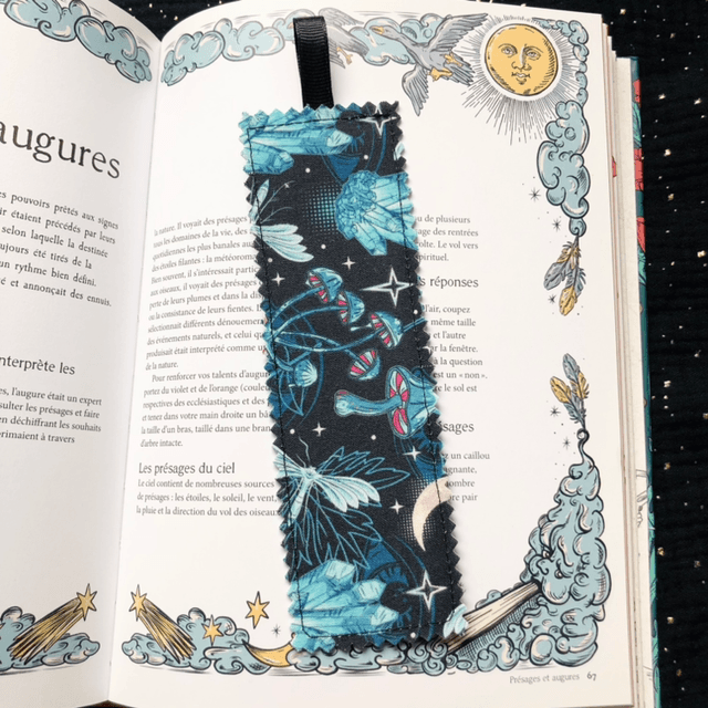 Marque page - Rituel glacial 