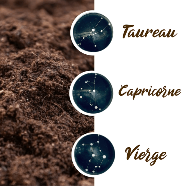 Barrette à cheveux - Signe astro à personnaliser 